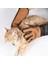 Silinebilir Kedi Tutma – Yakalama Eldiveni -%100 Deri -Tırnak Geçirmez - 3