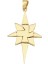 14 Ayar Hareketli Kutup Yıldızı Altın Kolye Ucu 1