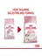 Kitten Yavru Kediler için Kuru Kedi Maması 2kg 18