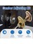 Gmc Sierra Yukon Chevy Için Hizalama Caster Camber Kit Silverado Express Banliyö 1500 2500 Hummer H2 H3 K100026 45K5012 (Yurt Dışından) 4