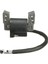 Briggs &amp Stratton Için Çim Ateşleme Bobini 695711 802574 796964 Siyah (Yurt Dışından) 1