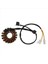Suzuki GN250 Gn 250 Magneto Stator Magneto Bobini 250CC Şarj Bobinleri Için Motosiklet Alternatör Jeneratörü (Yurt Dışından) 1