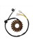 Suzuki GN250 Gn 250 Magneto Stator Magneto Bobini 250CC Şarj Bobinleri Için Motosiklet Alternatör Jeneratörü (Yurt Dışından) 3
