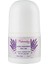Doğal Deodorant Roll-On Lavanta ve Hindistan Cevizi 50 gr Kadın-Erkek Kullanımı İçin 2