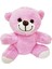Pembe Peluş Oyuncak Ayıcık 1