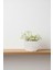 Bohem Desenli Beton Dekoratif Biblo – 15X10 cm Modern Minimal Obje 4