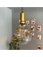 Lily Cam Bal Rengi Tekli Avize Gold Fener Başlık Retro Sarkıt Lamba Restoran Salon Aydınlatma 5