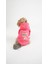 Köpek Kedi Hoodie Candy Paw 4