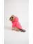 Köpek Kedi Hoodie Candy Paw 5