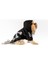 Köpek Kedi Hoodie Danger 3