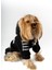 Köpek Kedi Hoodie Danger 4