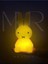 Miffy Tavşan Gece Lambası Küçük Boy Çocuk Odası İçin Güvenli Plastik Tasarım 1