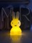 Miffy Tavşan Gece Lambası Küçük Boy Çocuk Odası İçin Güvenli Plastik Tasarım 5