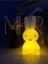 Miffy Tavşan Gece Lambası Küçük Boy Çocuk Odası İçin Güvenli Plastik Tasarım 6