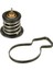 TH60380G1 Termostat 04C121113B 1