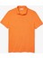 Paris Erkek Slim Fit Polo 1