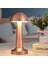 Mantar Model Bronz Renk Şarjlı Dokunmatik 3 Renkli LED Masa Lambası (5148) 4