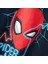 Erkek Çocuk Spiderman Sweatshirt 3
