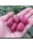 Kırmızı Mini Kiviberry 2 Fidan 1