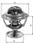 TH06082G1 Termostat 1089796 1148164 1149617 1