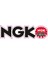 Kabartmalı Nkg Motor ve Oto Sticker 12,5x3,5 cm Ölçüsünde 1