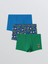 Yılbaşı Temalı Erkek Çocuk Boxer 3'lü (W5) 1