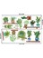 Bfs Raflı Saksılı Çiçek Tasarımlı Yapışkanlı Sticker MC-480B 5