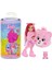 Bfs JCN97 Chelsea Cutie Reveal care Bear Serisi 1