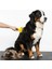 Kedi & Köpekler Için Tüy Alıcı 7 cm 1