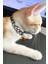 Rapçi Kedi Tasması, Zincir ve Zilli Kedi Tasması - NPC012 1