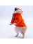 Turuncu Doha Go! Urban Moods Peluş Köpek Kıyafeti Kedi Kıyafeti Köpek Sweati 4