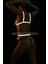 Reels Videoları Için Ürünler Reflektörlü Body Harness - APFT470 3