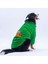 Yeşil Oslo Chill Urban Moods Peluş Orta Büyük Irklar Köpek Kıyafeti Köpek Sweati 1