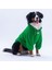 Yeşil Oslo Chill Urban Moods Peluş Orta Büyük Irklar Köpek Kıyafeti Köpek Sweati 4