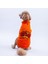 Turuncu Doha Go! Urban Moods Peluş Orta Büyük Irklar Köpek Kıyafeti Köpek Sweati 1