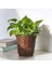 Klıbbal Bambu Saksı Kahverengi 12 cm 4