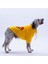 Sarı Porto Cozy Urban Moods Peluş Orta Büyük Irklar Köpek Kıyafeti Köpek Sweati 4