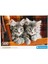 500 Parça Puzzle: Kittens 3