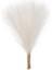 Pampas Çim 18IN/45CM Yapay Pampas Çim Fluffy 5 Stem Boho Home (Beyaz) (Yurt Dışından) 1