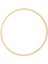 2pcs Ahşap Daire Yuvarlak Yakalayıcı Diy Kasnağı Çiçek Çelenk Evi Bahçe Bitki Dekor Asılı Sepet 18CM &amp 10CM (Yurt Dışından) 3