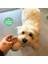 Örgü Kemik ve Top Pamuklu ve Doğa Dostu Köpek Oyuncağı Seti 5