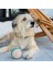 Örgü Kemik ve Top Pamuklu ve Doğa Dostu Köpek Oyuncağı Seti 6