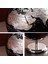 2x Dünya Globe Takımyıldız Haritası Globe Ana Masa Masası Süsleri Ofisi Ev Dekorasyon Aksesuarları (Altın) (Yurt Dışından) 3