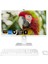 XS162 I5 14400 8gb Ram 512GB SSD 23.8" Webcam + Wifi+ Bt All In One Bilgisayar 1