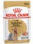 Yorkshire Terrier Yaş Köpek Maması 12 x 85g 8