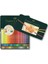 Faber Castell Polychromos Kuru Boya 120 Renk 110011 12