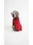 Köpek Kedi Hoodie Star Vibe 1