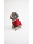 Köpek Kedi Hoodie Star Vibe 2