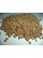 Pazı Tohumu 250 gr 1