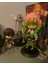 Demon Slayer Kimetsu No Yaiba Mitsuri Kanroji Anime Karakter Figür Oyuncak Koleksiyonluk Biblo 15 cm 2